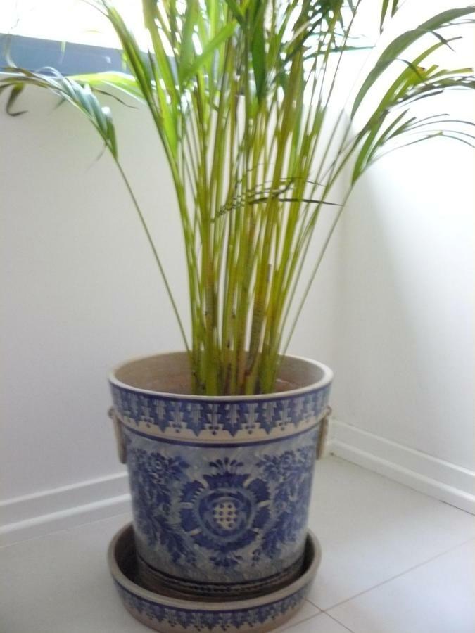 Blue House - Santa Marta II Apartment Lisbon Luaran gambar